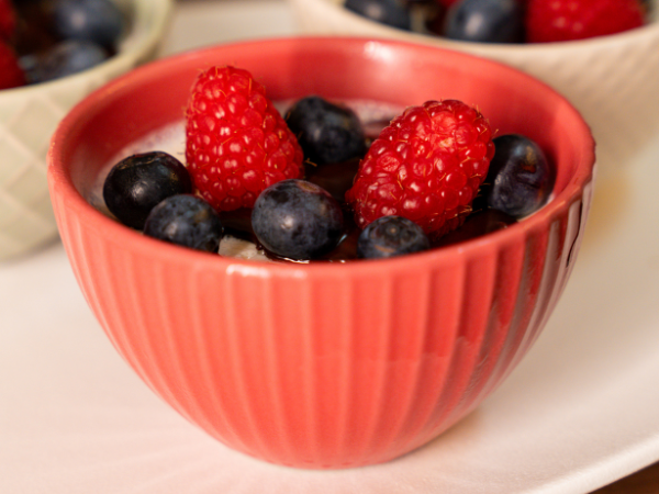 Panna cotta al collagene